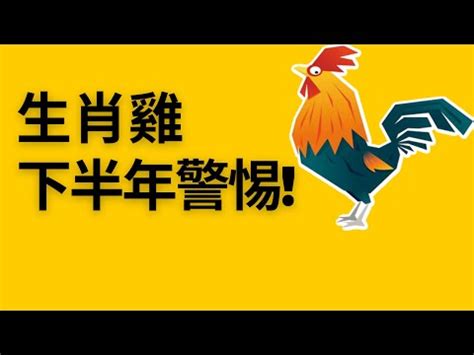 屬雞住宅方位|【屬雞適合的方位】屬雞首選！超吉利方位與樓層大公開！